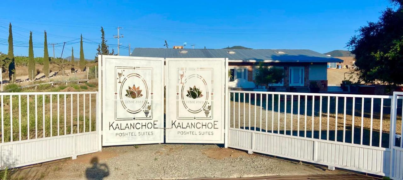 Kalanchoe Poshtel Suites Las Palmas (Baja California) Exterior foto